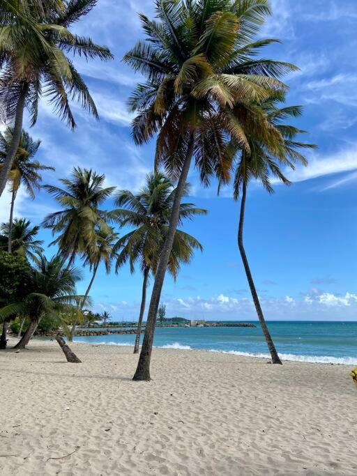 Le Calypso, Beachside Heaven Le Gosier  Bagian luar foto